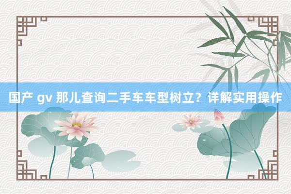 国产 gv 那儿查询二手车车型树立？详解实用操作