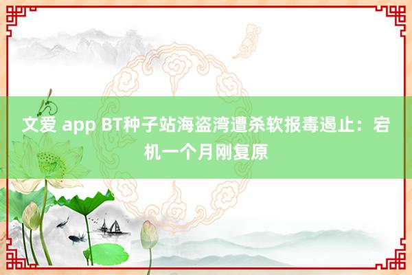 文爱 app BT种子站海盗湾遭杀软报毒遏止：宕机一个月刚复原