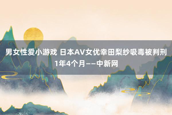 男女性爱小游戏 日本AV女优幸田梨纱吸毒被判刑1年4个月——中新网