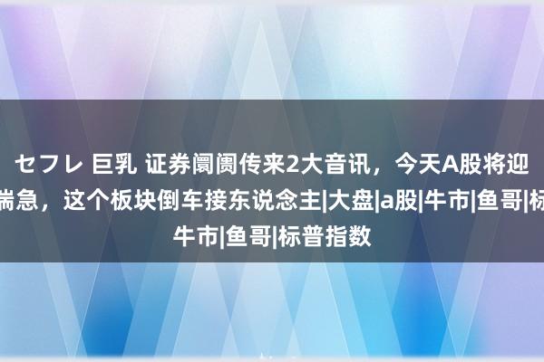 セフレ 巨乳 证券阛阓传来2大音讯，今天A股将迎来彭湃湍急，这个板块倒车接东说念主|大盘|a股|牛市|鱼哥|标普指数