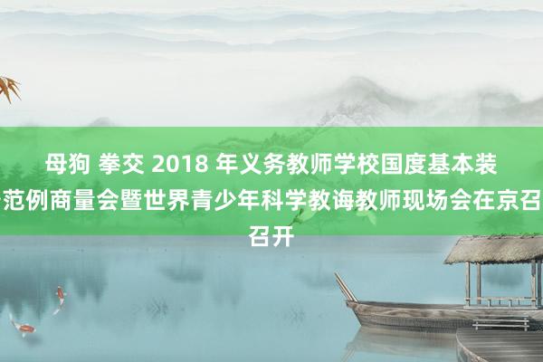 母狗 拳交 2018 年义务教师学校国度基本装备范例商量会暨世界青少年科学教诲教师现场会在京召开