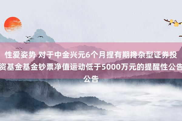 性爱姿势 对于中金兴元6个月捏有期搀杂型证券投资基金基金钞票净值运动低于5000万元的提醒性公告