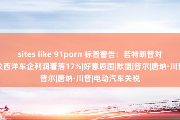 sites like 91porn 标普警告：若特朗普对加墨征关税 或致西洋车企利润着落17%|好意思国|欧盟|普尔|唐纳·川普|电动汽车关税