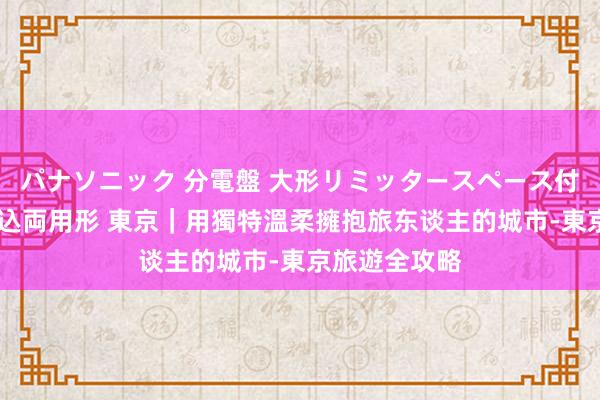 パナソニック 分電盤 大形リミッタースペース付 露出・半埋込両用形 東京｜用獨特溫柔擁抱旅东谈主的城市-東京旅遊全攻略