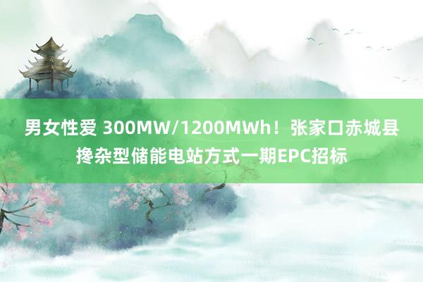 男女性爱 300MW/1200MWh！张家口赤城县搀杂型储能电站方式一期EPC招标