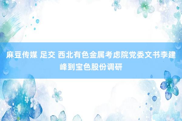 麻豆传媒 足交 西北有色金属考虑院党委文书李建峰到宝色股份调研